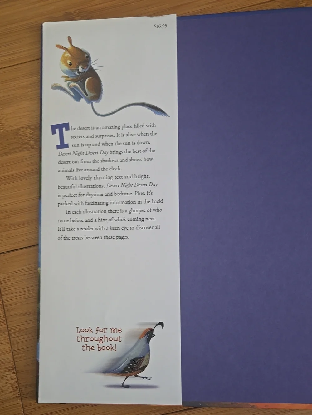 Desert Night Desert Day Children's Book
